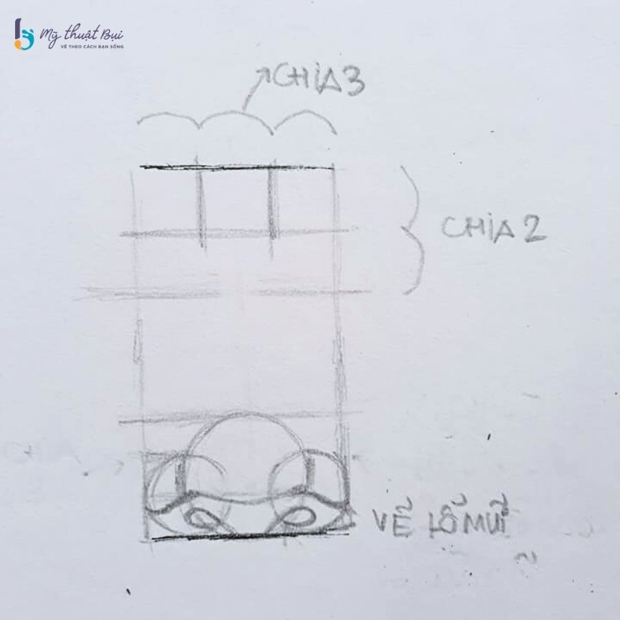 Chia phần trên cùng của mũi thành 2 phần Chia phần trên cùng của mũi thành 2 phần