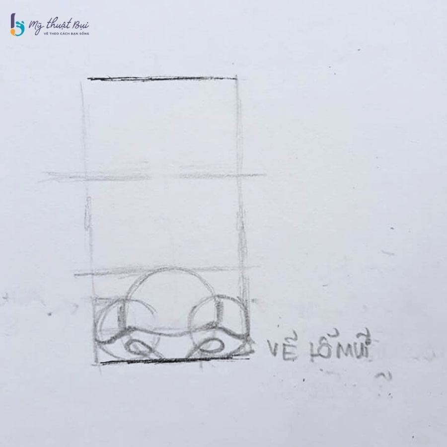 Xác định vị trí lỗ mũi Xác định vị trí lỗ mũi