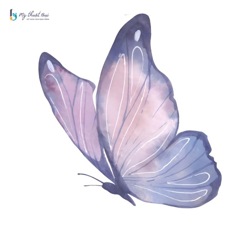 Hình vẽ con bướm đẹp