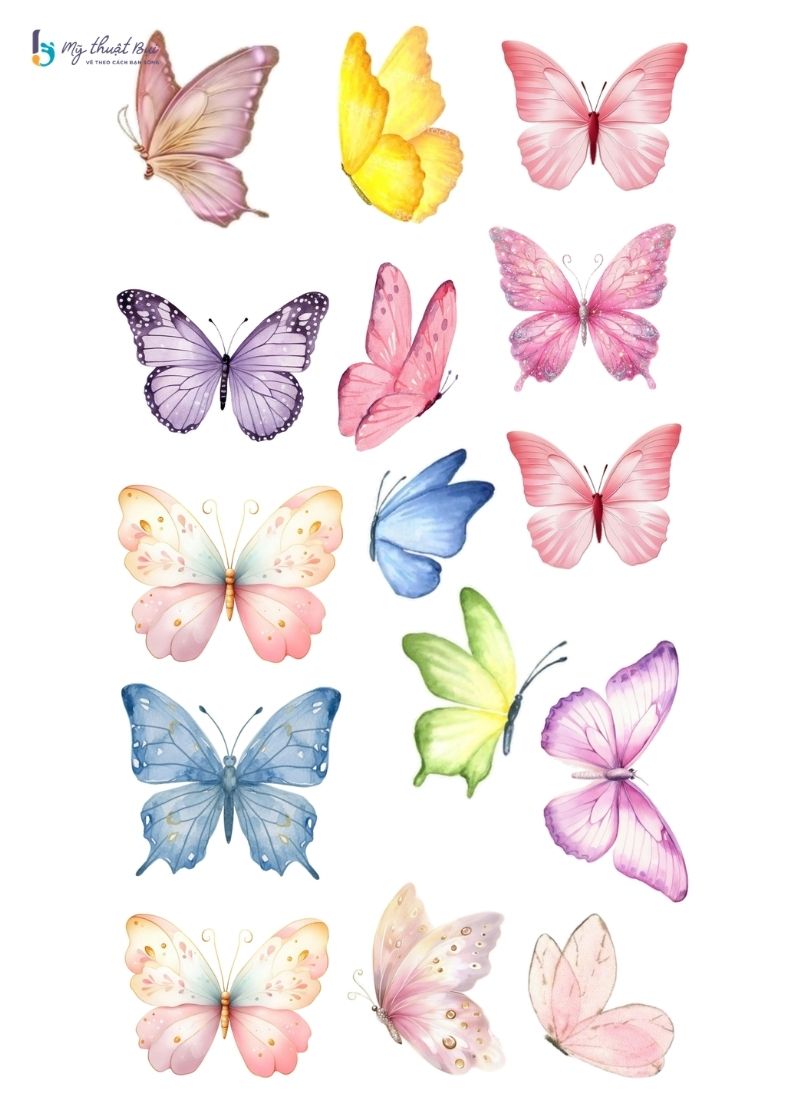 Hình vẽ con bướm đẹp