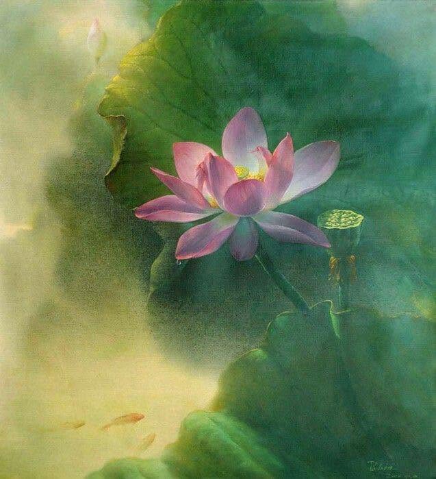 Tranh vẽ hoa sen đẹp