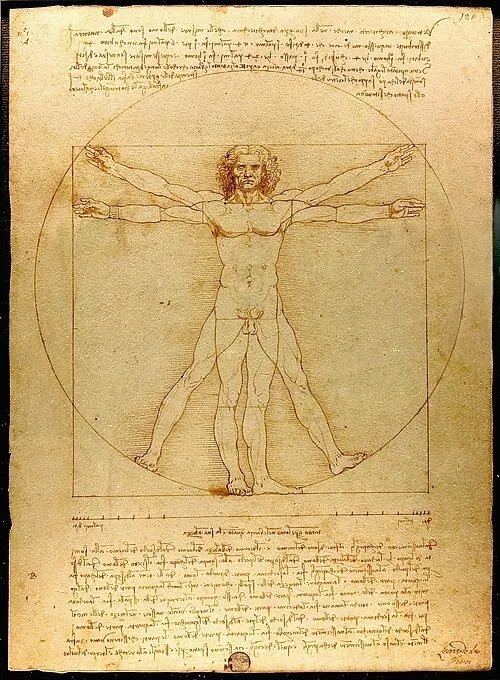 Bản vẽ Người Vitruvius Vitruvian Man của danh họa Leonardo da Vinci