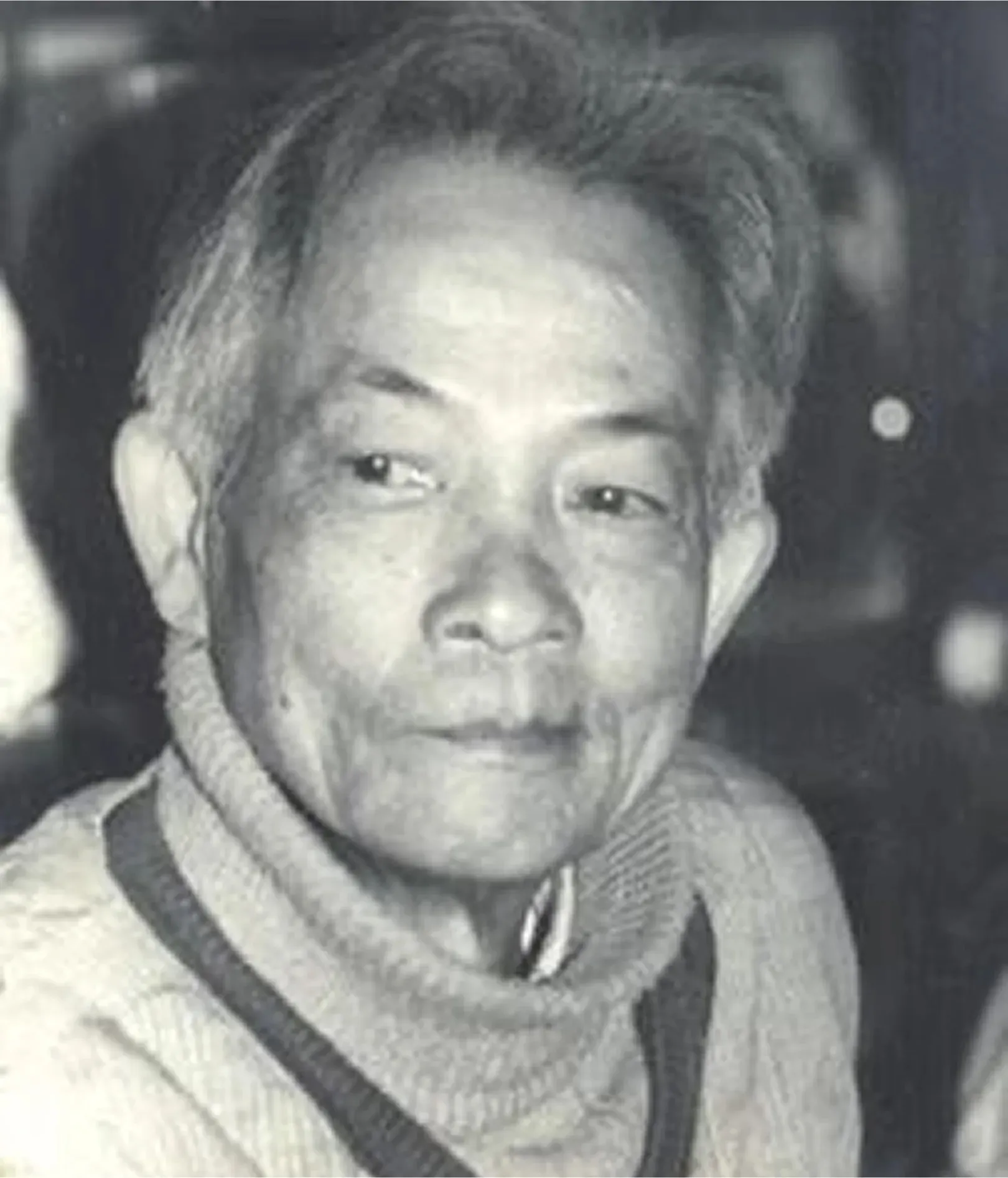 Chân dung họa sĩ Dương Bích Liên